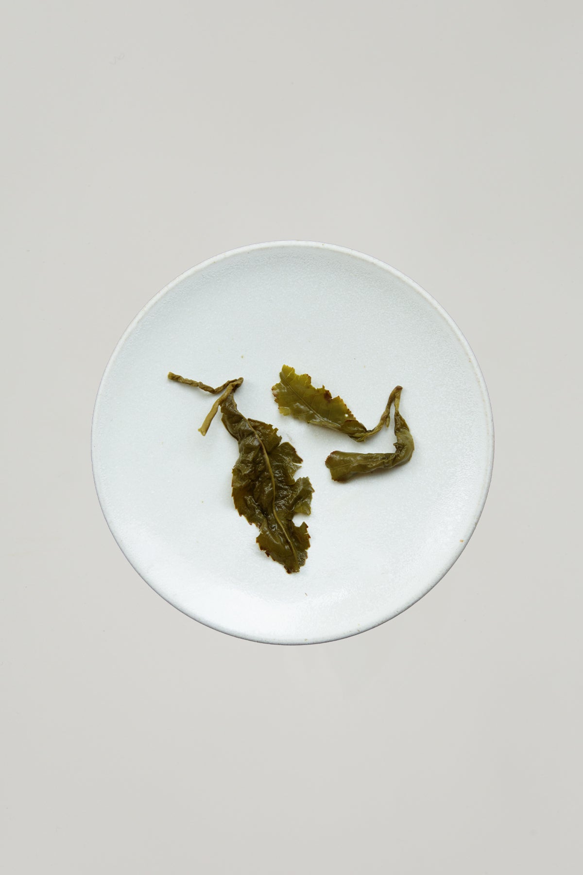 Jin Xuan Milky Oolong
