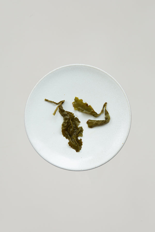 Jin Xuan Milky Oolong