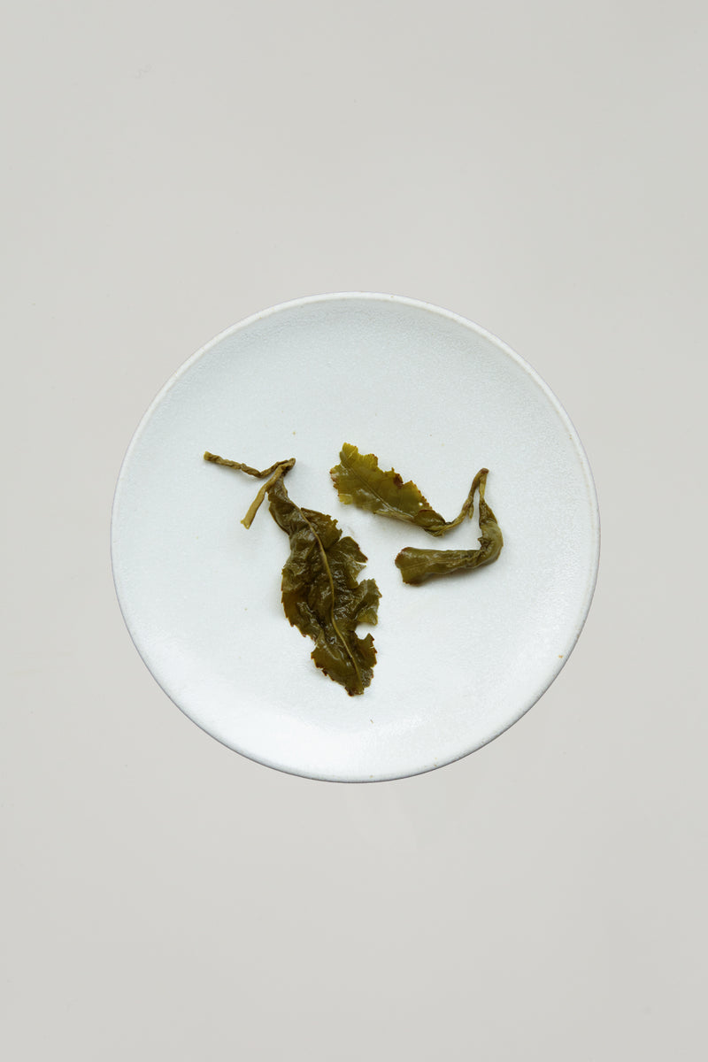 Jin Xuan Milky Oolong
