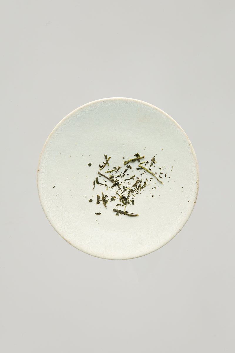 Sencha Yabukita