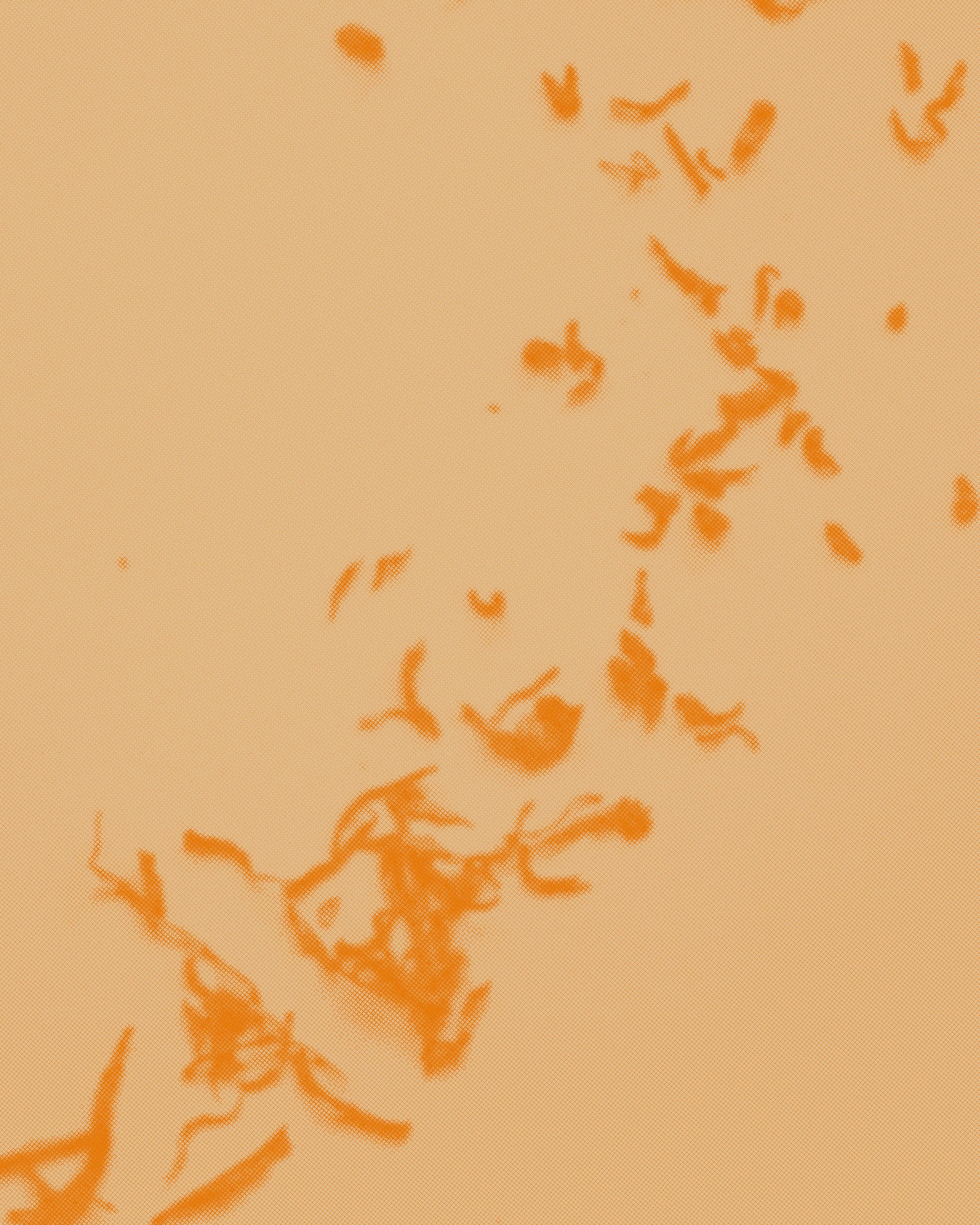 Aged Pu’er and Incense: January 31 + February 1 (Morning)