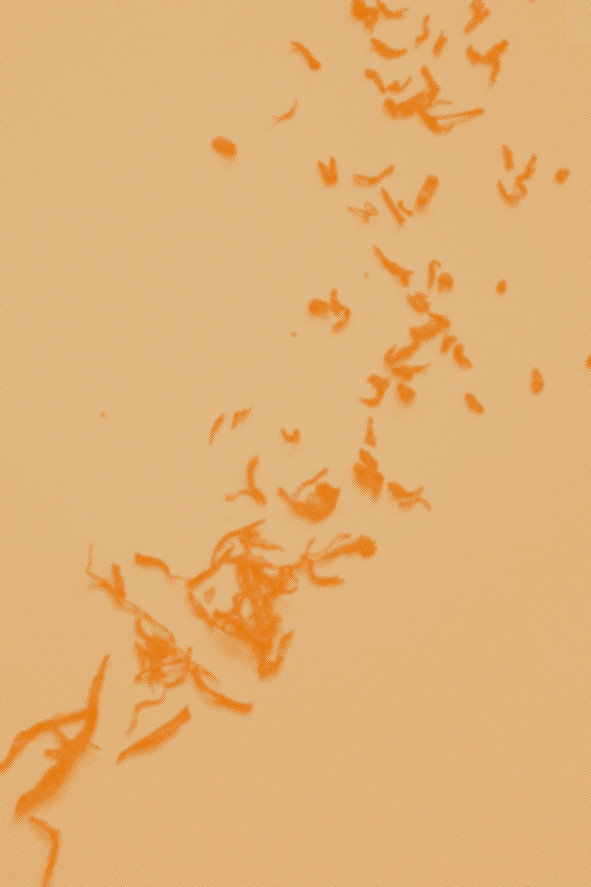 Aged Pu’er: The Taste of Time, December 20th