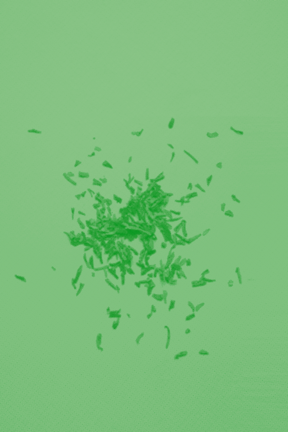 Introduction to Chinese Tea, January 25th