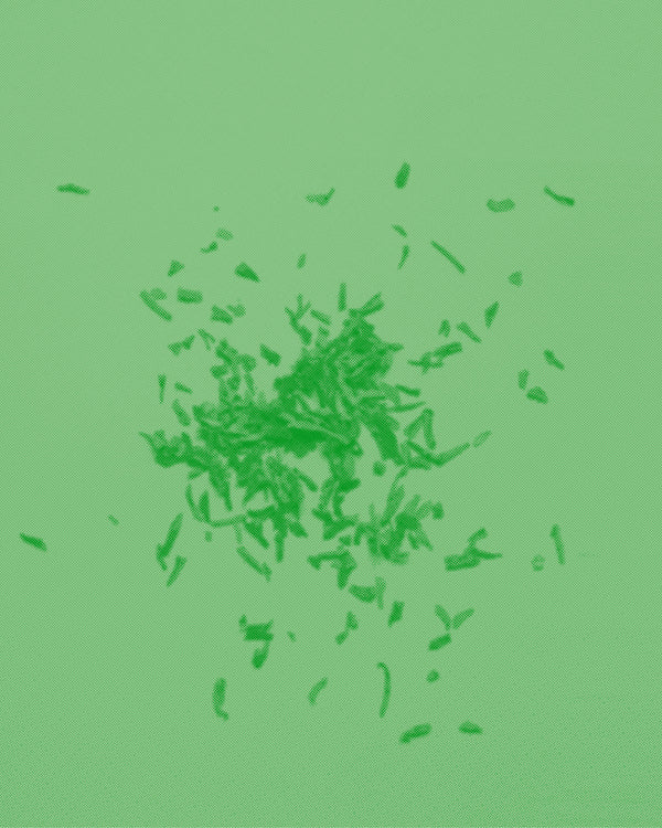 Introduction to Chinese Tea: November 29 + 30 (Evening)