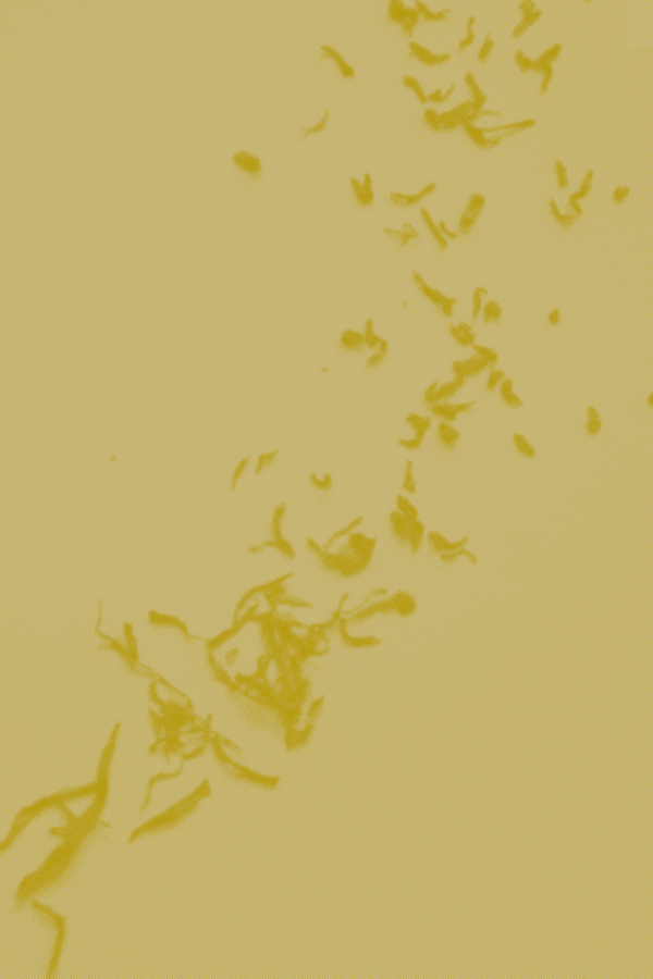 The Subtle Breath of Scent: An Incense Ceremony, December 21st